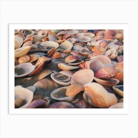 Sea Shells On The Beach 4 Art Print