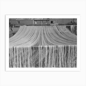 Nets Drying In The Sun, Astoria, Oregon By Russell Lee Art Print