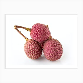 Lychee Fruit 14 Art Print