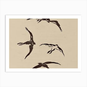 Birds In Flight 4 Art Print