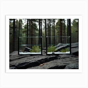 Two Aquariums In The Forest Art Print