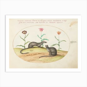 Quadervpedia Animals And Reptiles, Joris Hoefnagel (13) Art Print