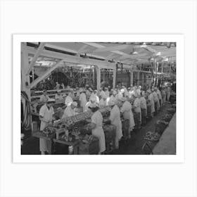 Packing Salmon Into Cans At The Columbia River Packing Association, Astoria, Oregon By Russell Lee Art Print