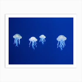 Bright Blue Floating Jellyfish Art Print