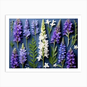 Nature Pattern Isolate White Arrangement Purple Flat Floral Blue Natural Herbal Medicine (2) 2 Art Print