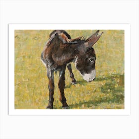 Donkey Art Print