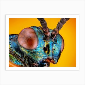 Beetle Head Art Print