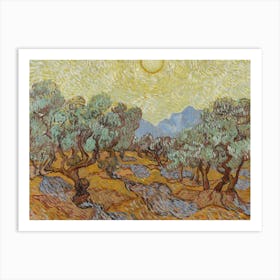 Van Gogh - Olive Trees Art Print