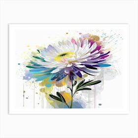 Chrysanthemum Flower Art Print