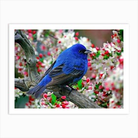 The blue bird Art Print