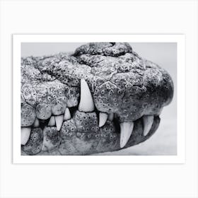 Crocodile Teeth Art Print