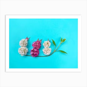 3 Flower Chicks Art Print