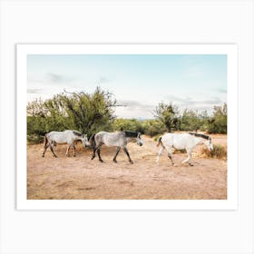 Ariozna Wild Horses Art Print