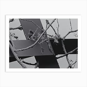 Cross In A Tree Art Print