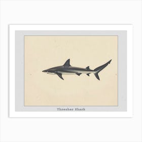 Thresher Shark Silhouette 4 Poster Art Print