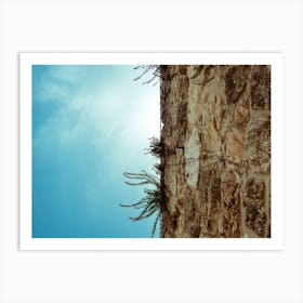 Low Angle View Of Part Of Ancient Stone Wall 1 Art Print