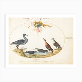 Flying And Amphibious Animals, Joris Hoefnagel (10) Art Print