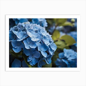 Blue Hydrangeas paintings art print Art Print