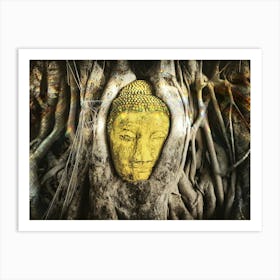 Buddha In Roots Art Print