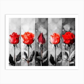 Red Roses 1 Art Print