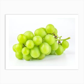 Green Grapes 9 Art Print