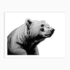 Black & White Polar Bear Portrait Art Print