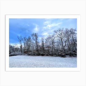 The Snowy Backyard (From Home Series) Art Print