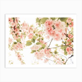 Cherry Blossom Branches Art Print