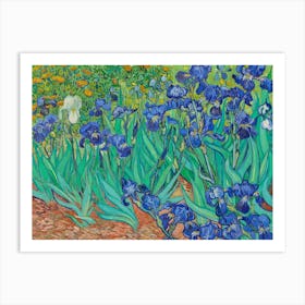 Van Gogh - Irises 2 Art Print