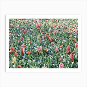 Field of flowers | Floral photography | The Netherlands Art Print