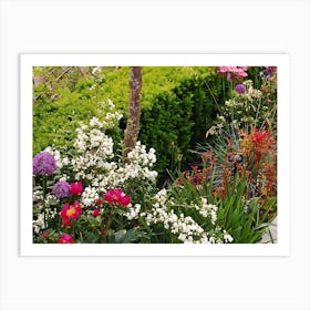 Garden In Bloom 3 Art Print