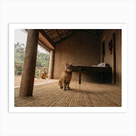 Cat In A Hut 1 Art Print