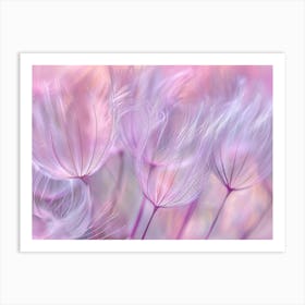 Dandelion 22 Art Print