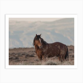 Western Horse Art Print