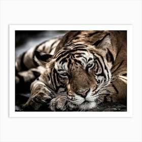 Tiger Sleeping Art Print