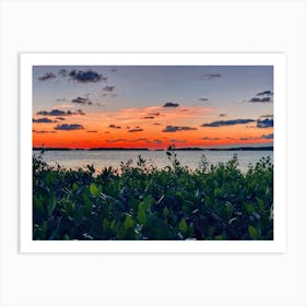 Sunset And Mangroves At Islamorada (Florida Keys Series) Art Print