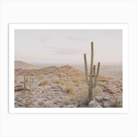 View Over Phoenix Art Print