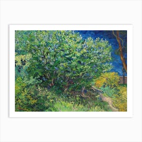 Lilac Bush (1889), Vincent Van Gogh Art Print