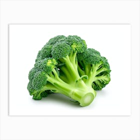 Broccoli 5 Art Print