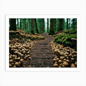 Mushroom path through the Forest Art Print