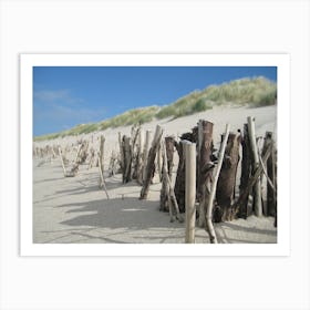 Wood and Sand Dunes Art Print