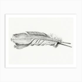 Feather, Jean Bernard Art Print