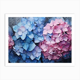 Hydrangeas 28 Art Print