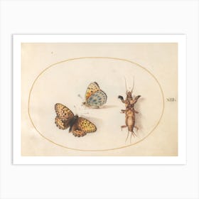Two Butterflies And A Mole Cricket, Joris Hoefnagel Art Print