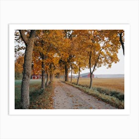 Farm Driveway In Fall Art Print