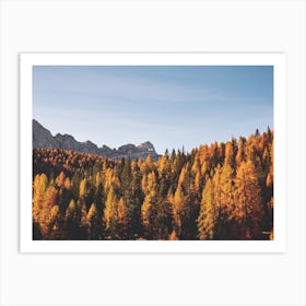 Autumn Forest Mountains Art Print