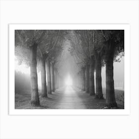 Path Through The Trees 1 Art Print