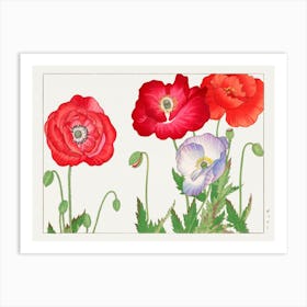 Vintage Poppy Flower, Tanigami Kônan Art Print