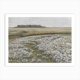 Summer Meadows Art Print