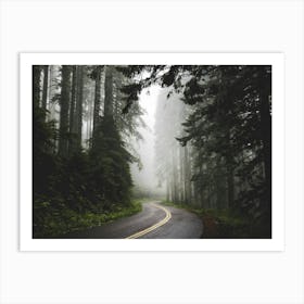 Pacific Northwest Forest Road Dreams Art Print
